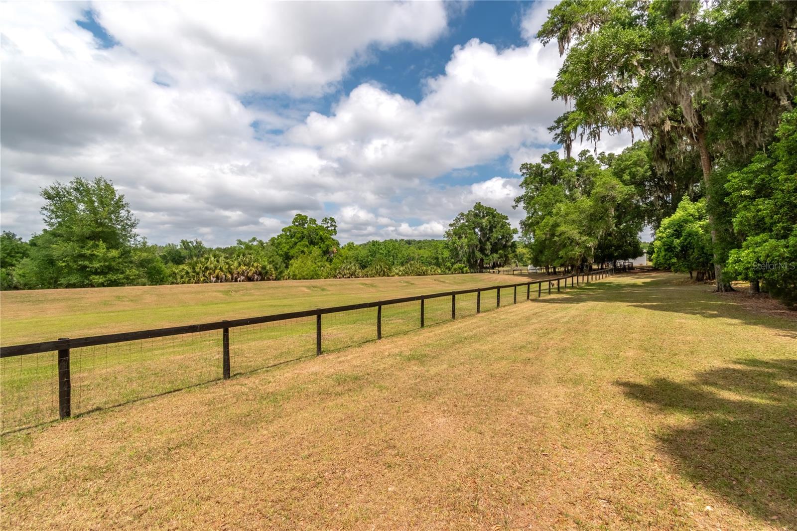 5021 NW 101ST STREET RD, OCALA, FL, 34482