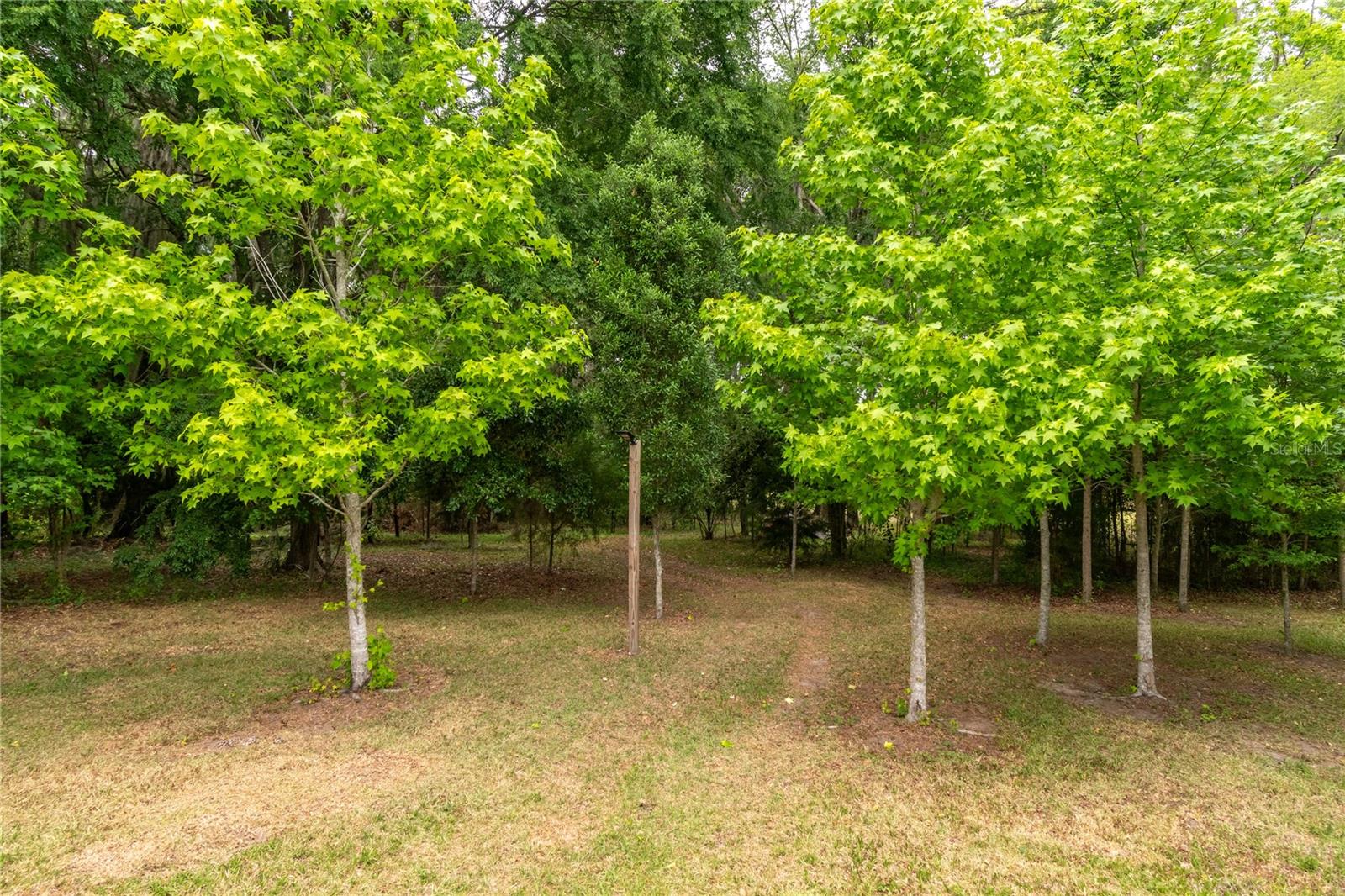 5021 NW 101ST STREET RD, OCALA, FL, 34482