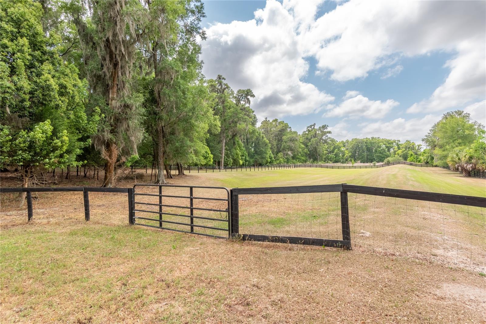 5021 NW 101ST STREET RD, OCALA, FL, 34482