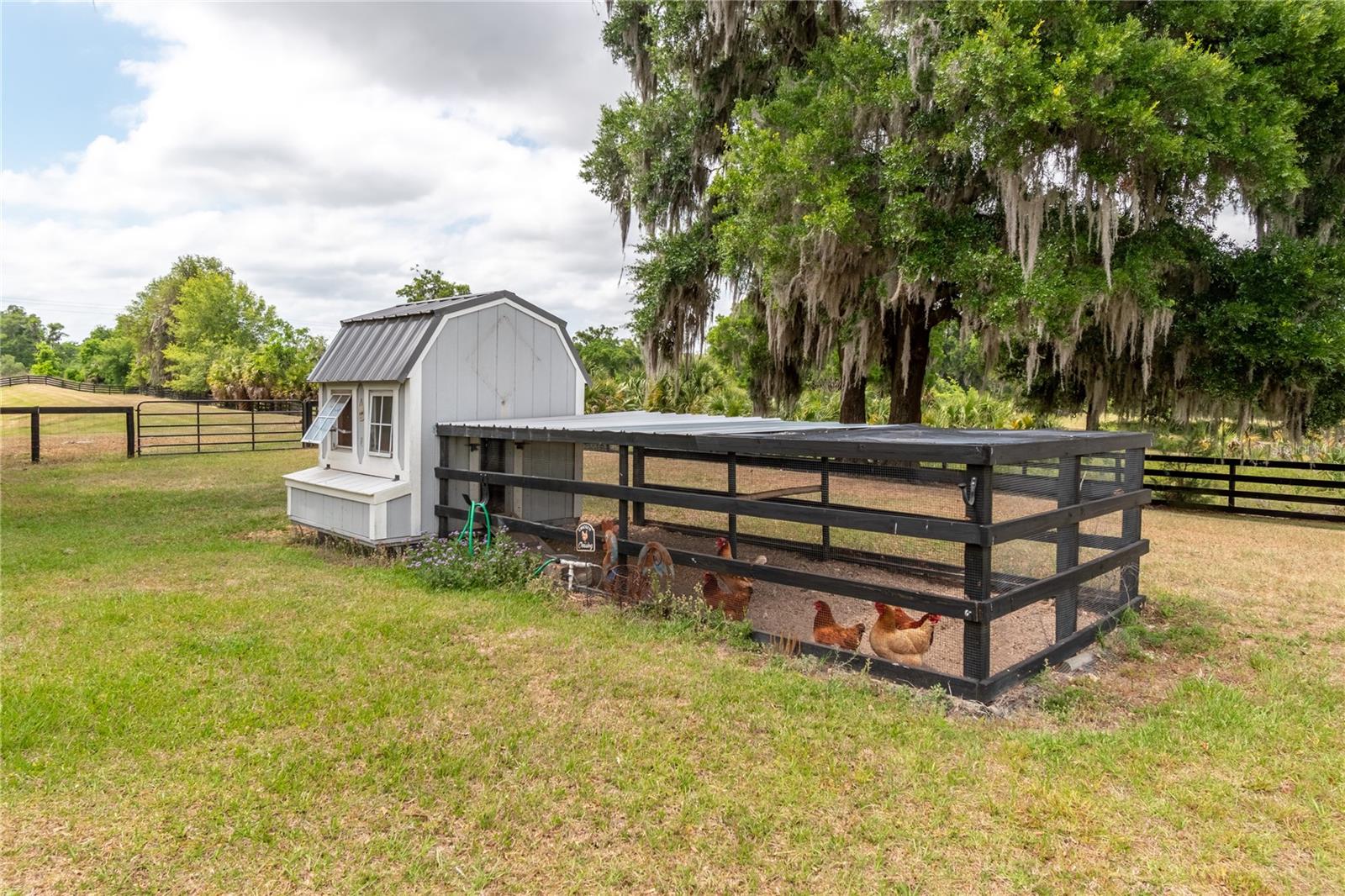 5021 NW 101ST STREET RD, OCALA, FL, 34482