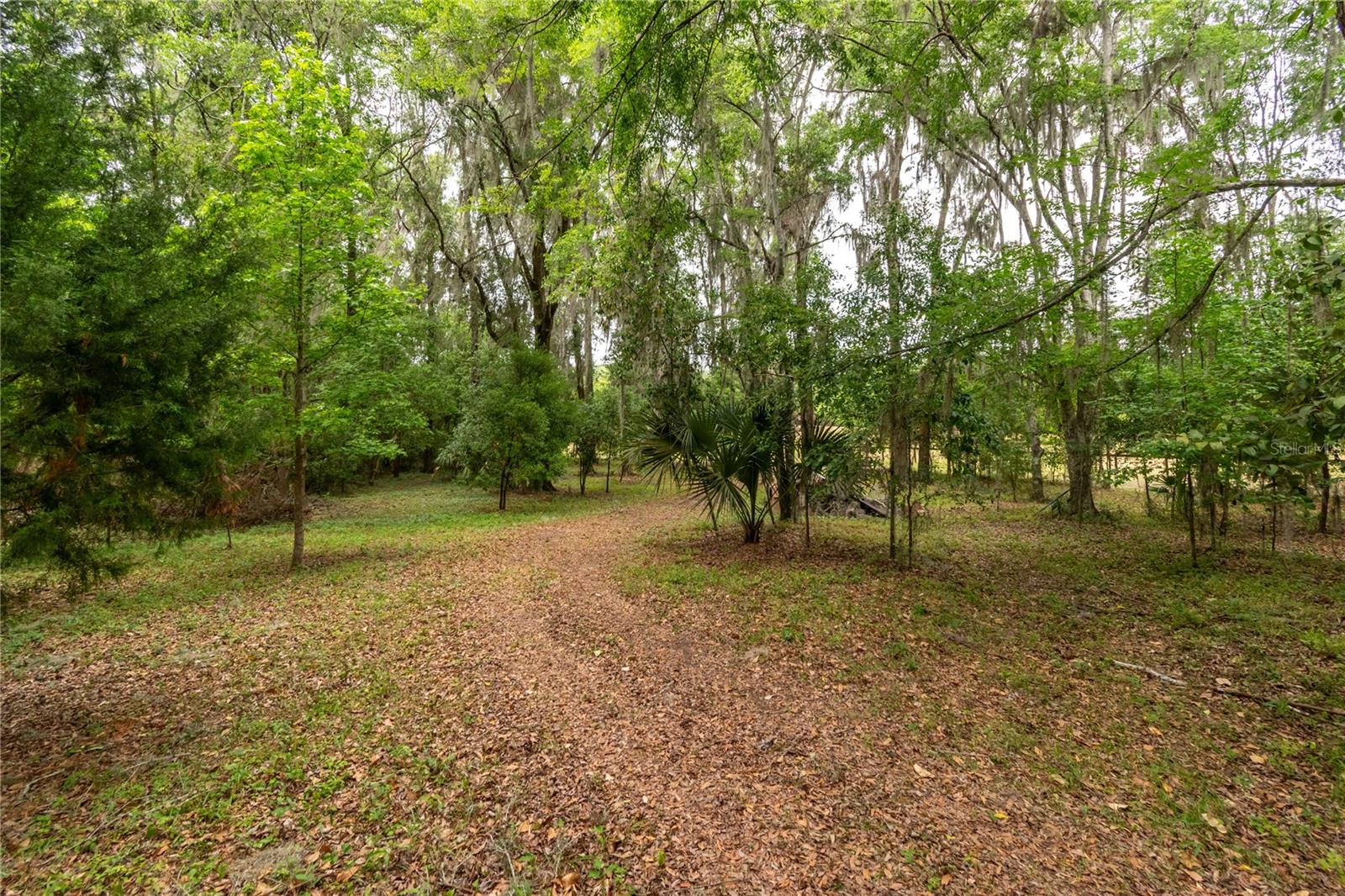 5021 NW 101ST STREET RD, OCALA, FL, 34482