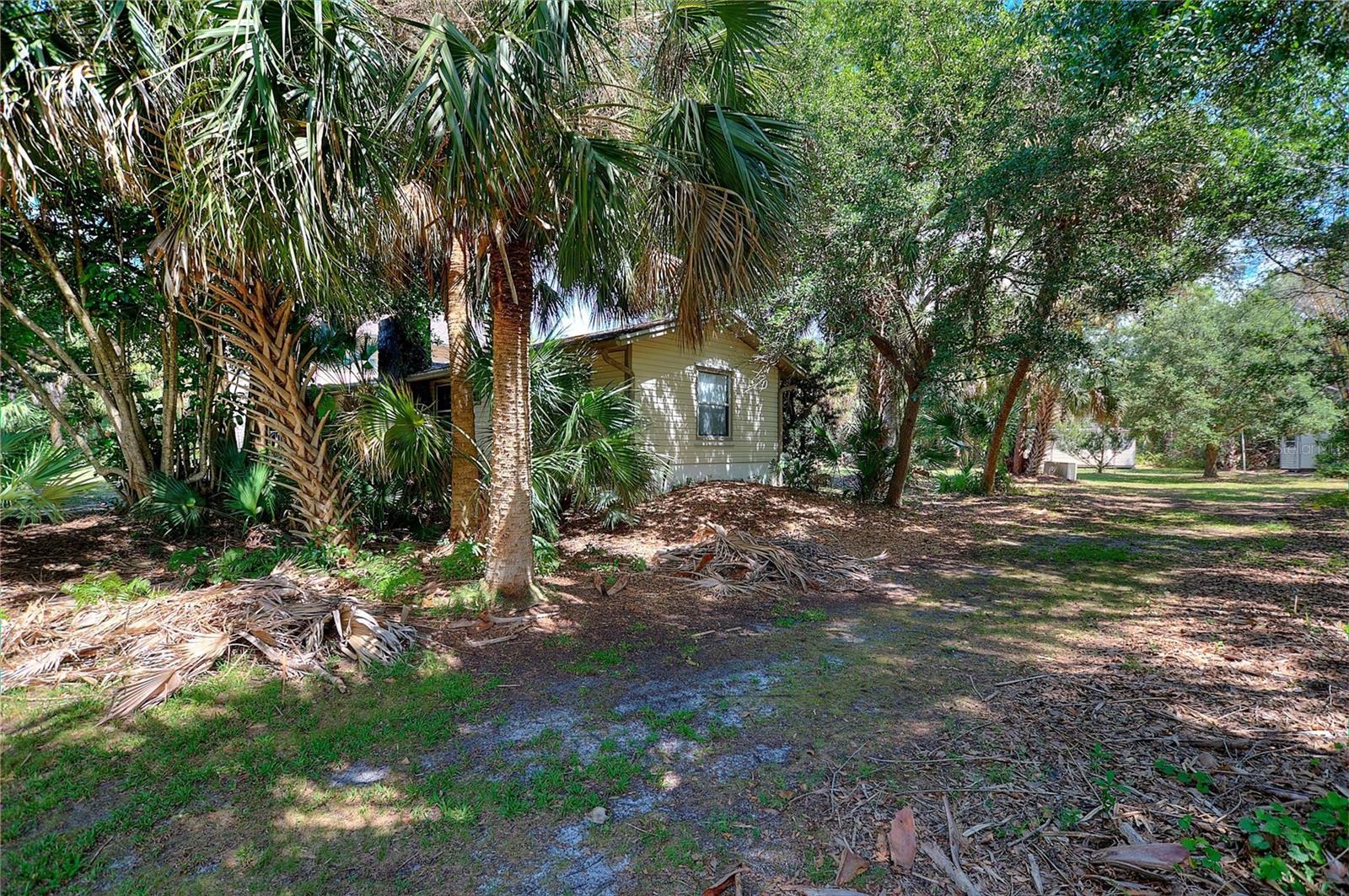3641 TURTLE MOUND RD, MELBOURNE, FL, 32934