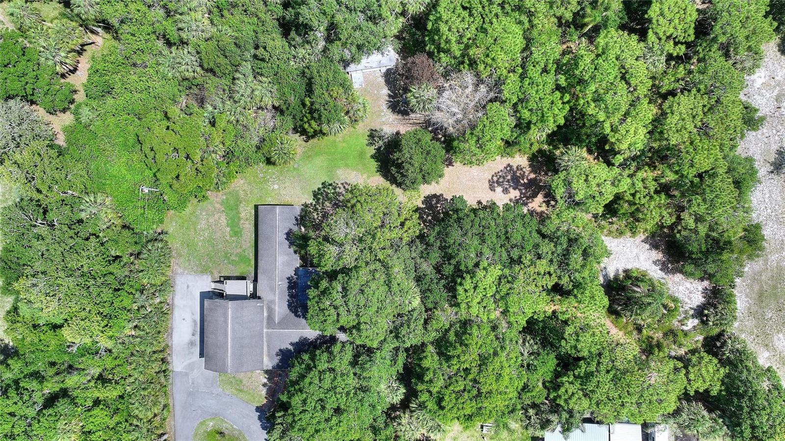 3641 TURTLE MOUND RD, MELBOURNE, FL, 32934