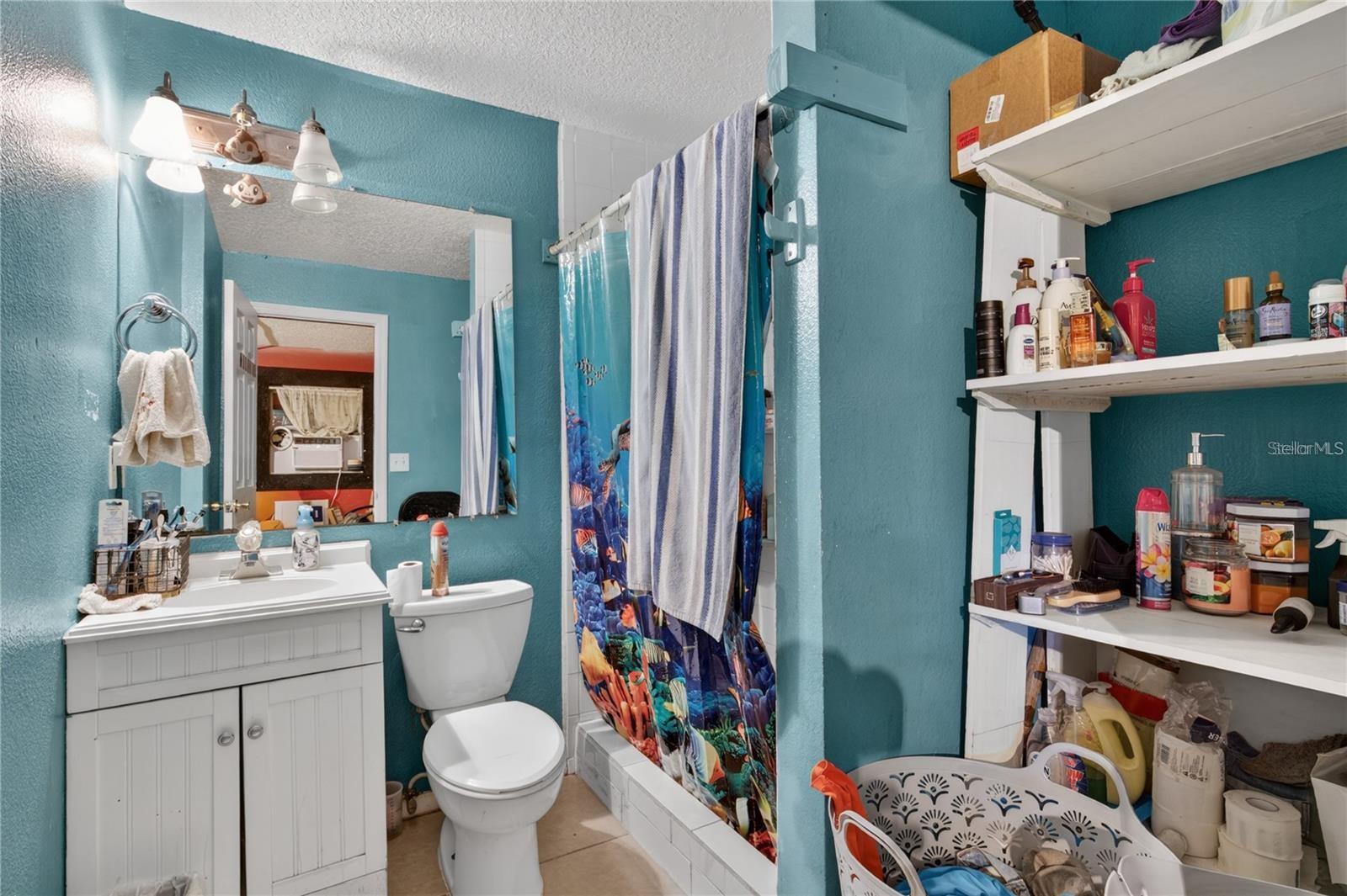 1400 N SIMPSON ST, MOUNT DORA, FL, 32757