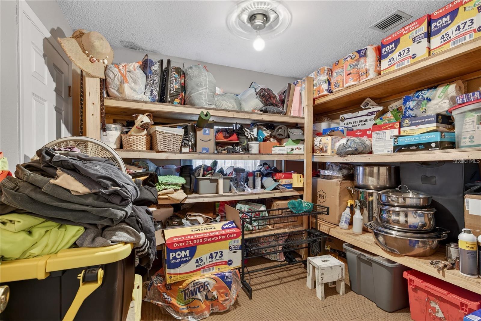 1400 N SIMPSON ST, MOUNT DORA, FL, 32757