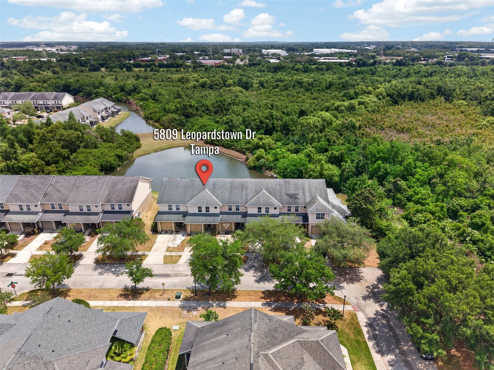 5809 LEOPARDSTOWN DR, TAMPA, FL, 33610