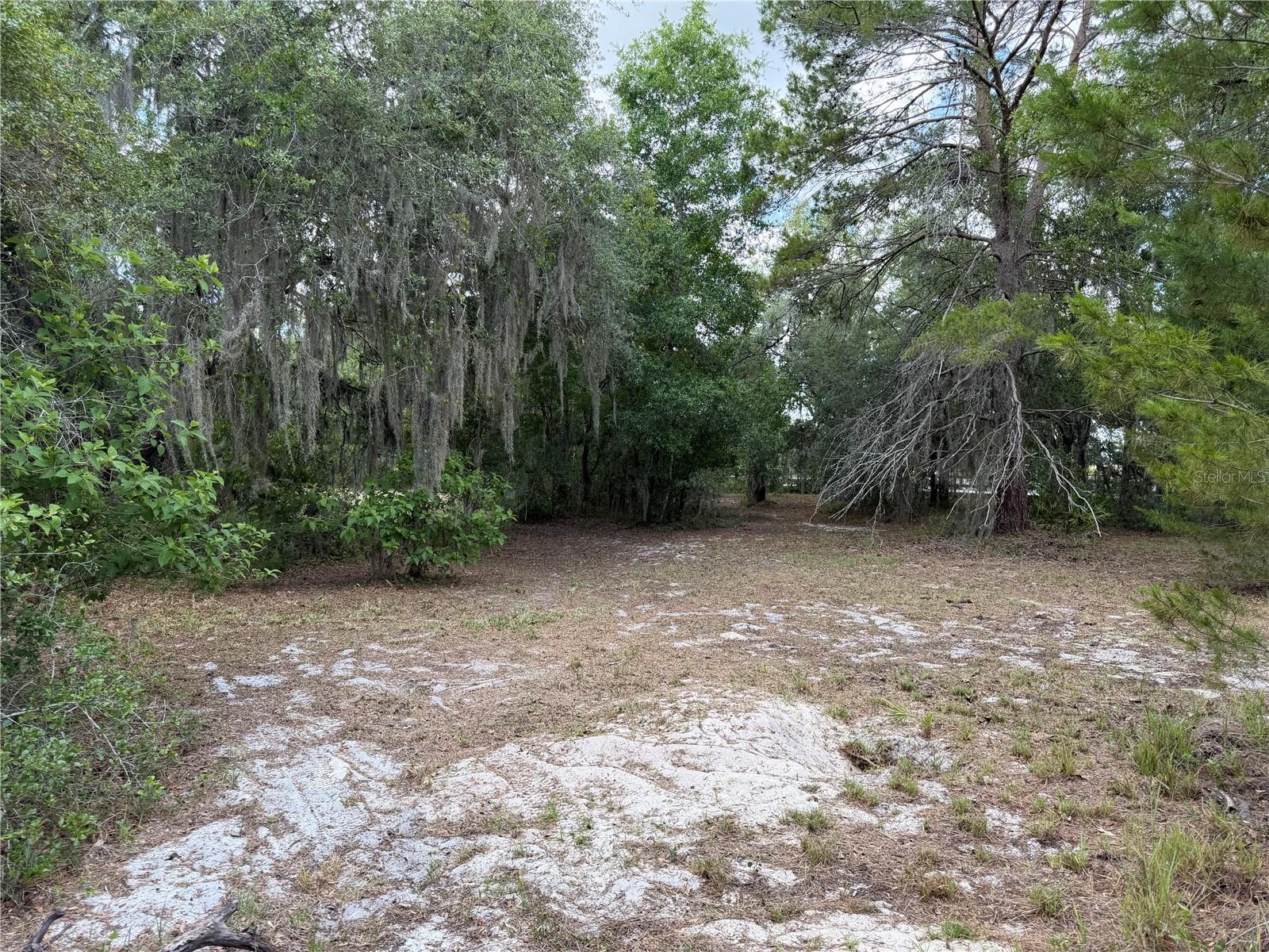 8351 WAKEFORD RD, LAKE WALES, FL, 33898