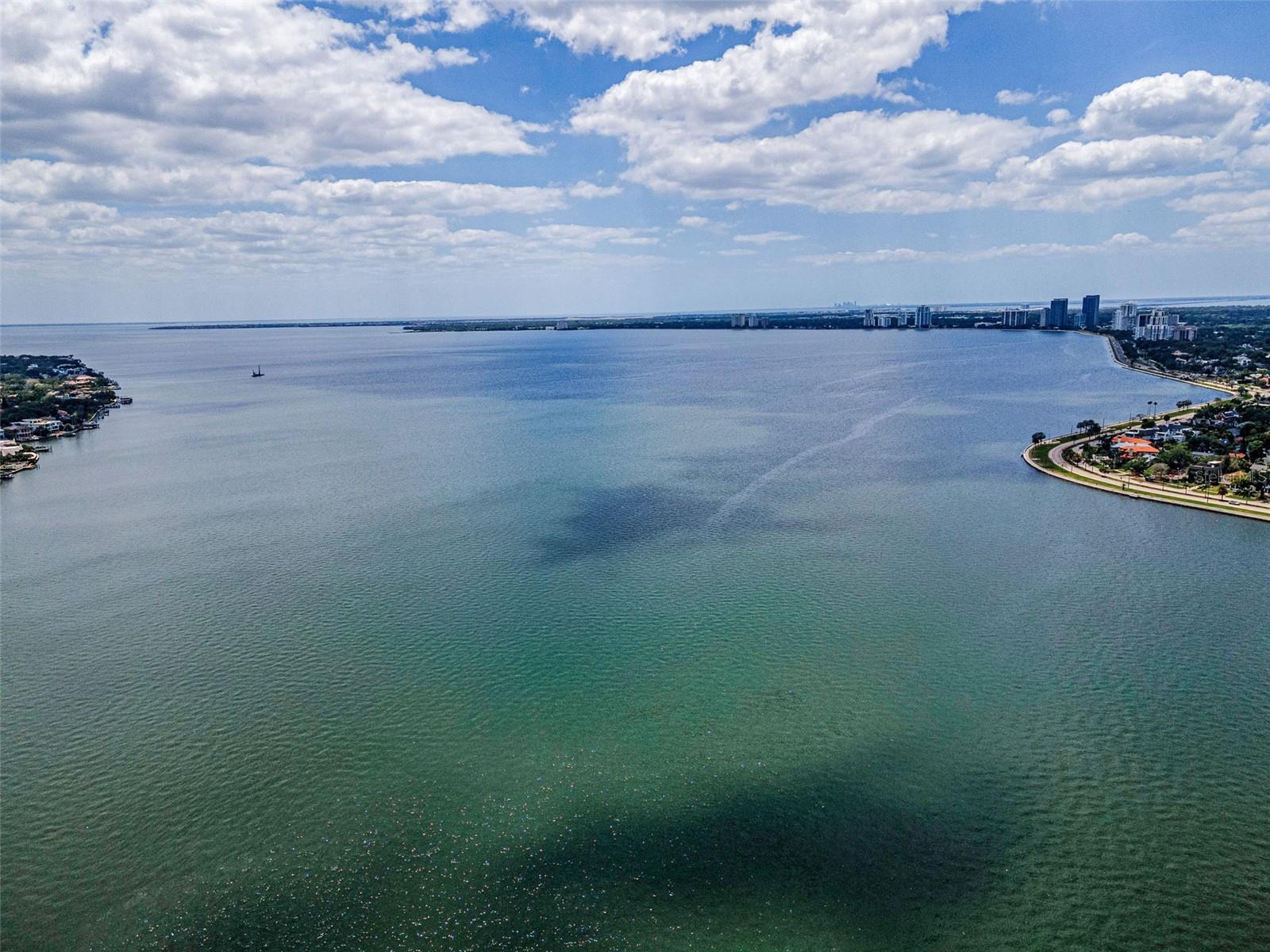 2 ADALIA AVE #605, TAMPA, FL, 33606