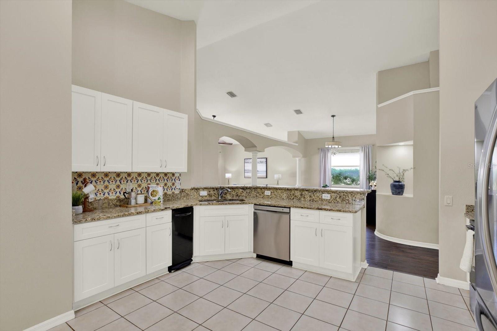 18019 JAVA ISLE DR, TAMPA, FL, 33647