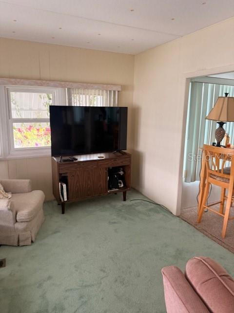 315 PEACE MNR, PALMETTO, FL, 34221