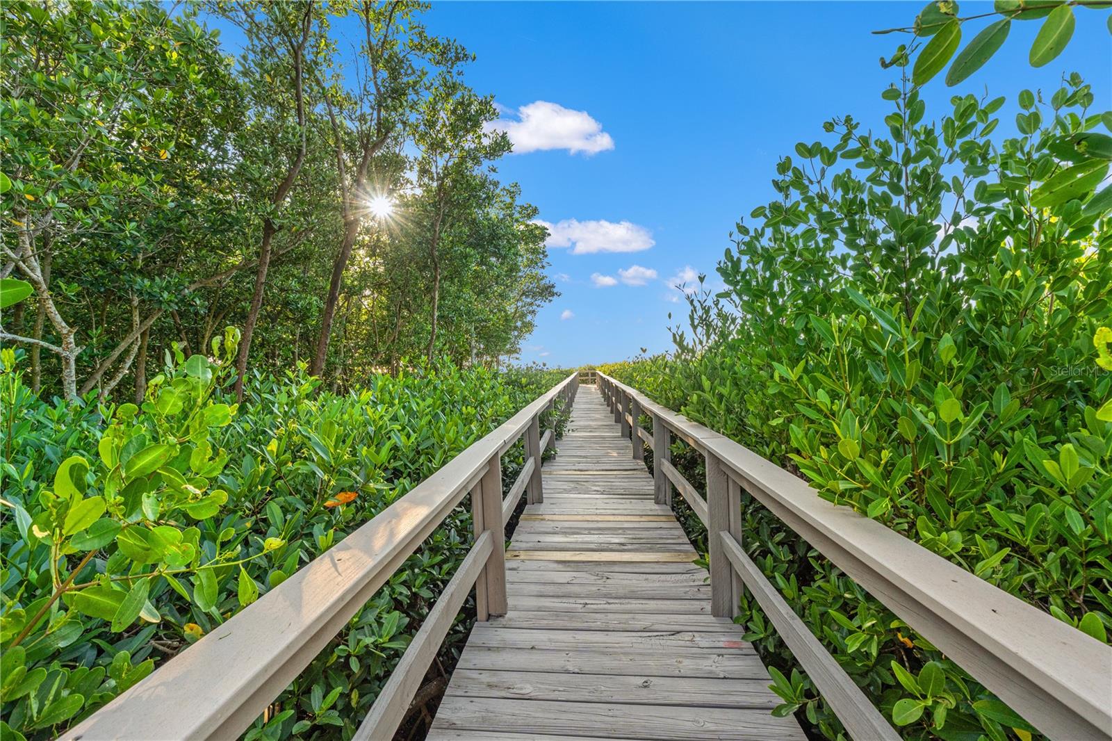 300 S FLORIDA AVE #600F, TARPON SPRINGS, FL, 34689