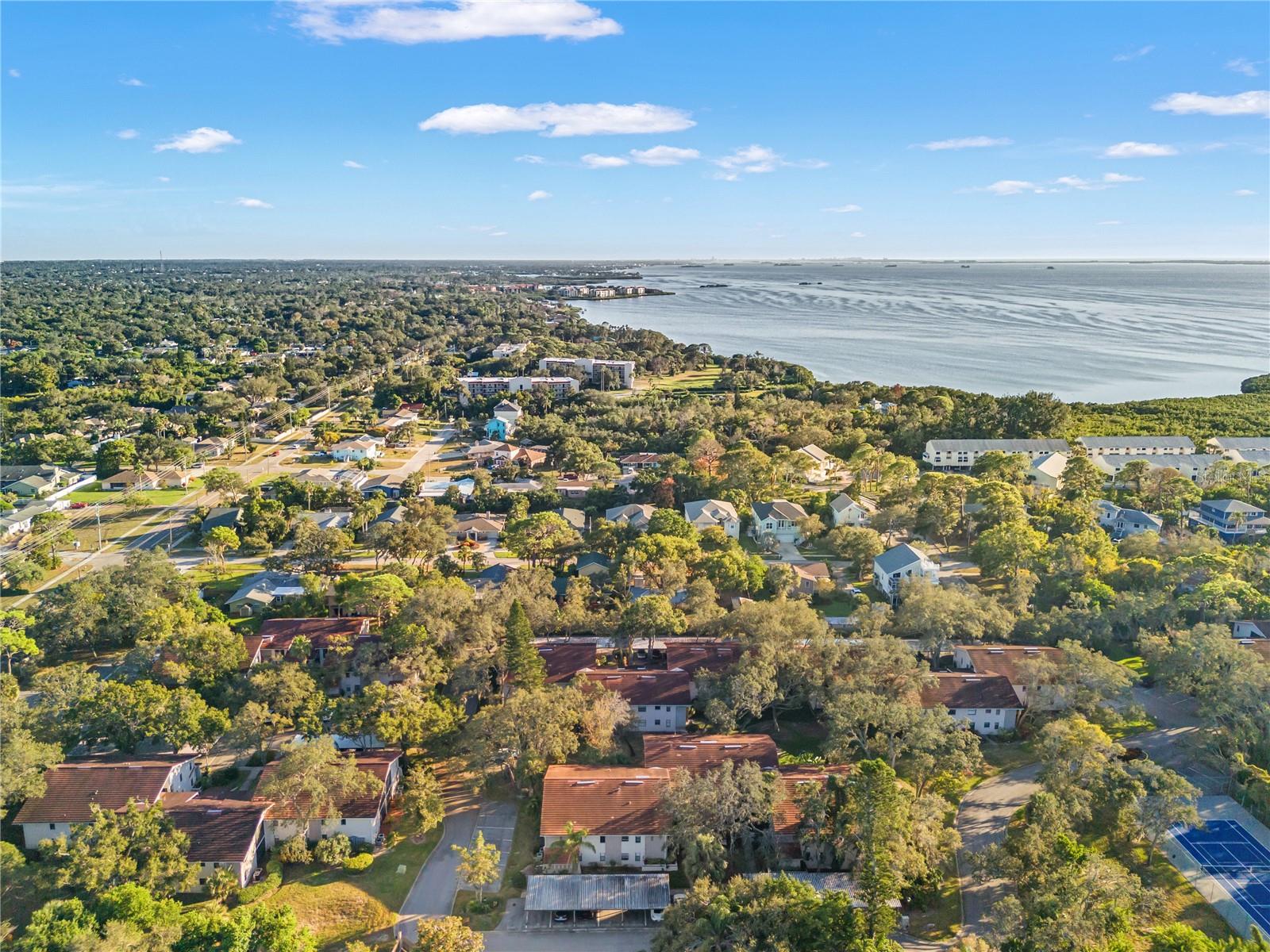 300 S FLORIDA AVE #600F, TARPON SPRINGS, FL, 34689