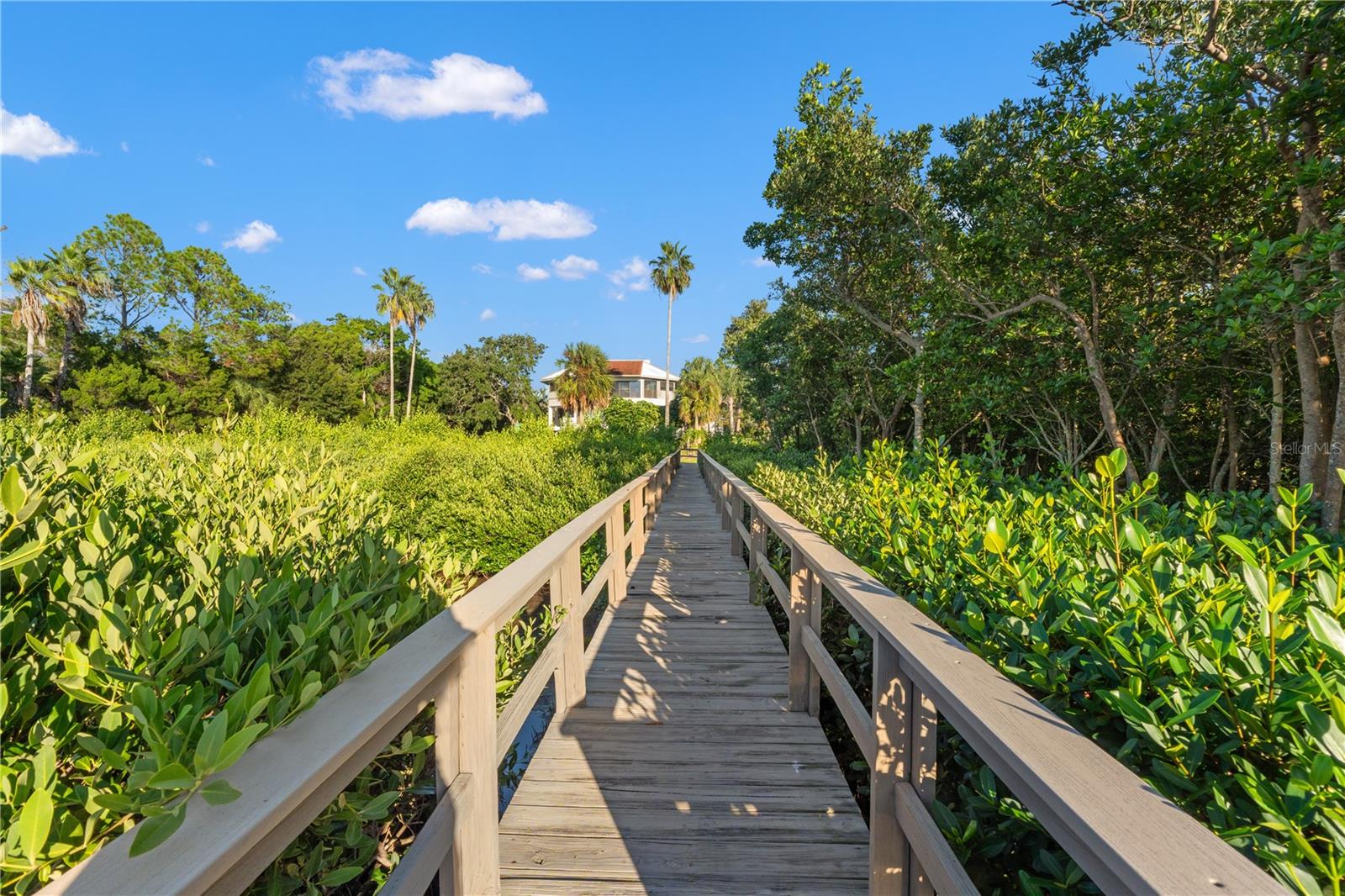 300 S FLORIDA AVE #600F, TARPON SPRINGS, FL, 34689