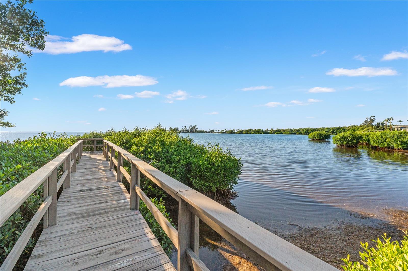 300 S FLORIDA AVE #600F, TARPON SPRINGS, FL, 34689