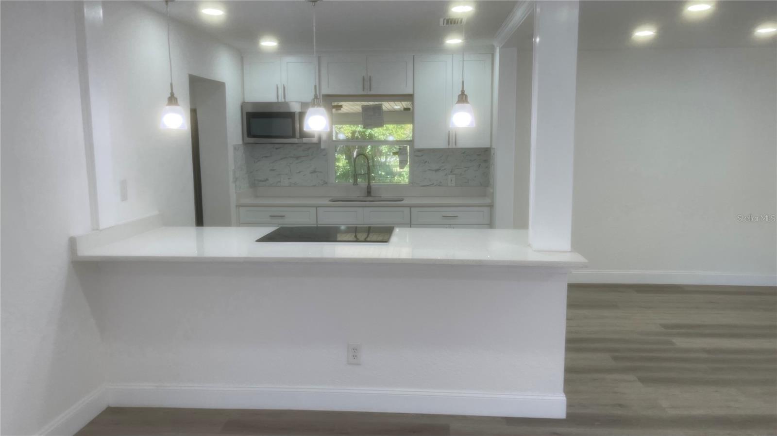 113 W DIVISION ST, WINTER GARDEN, FL, 34787