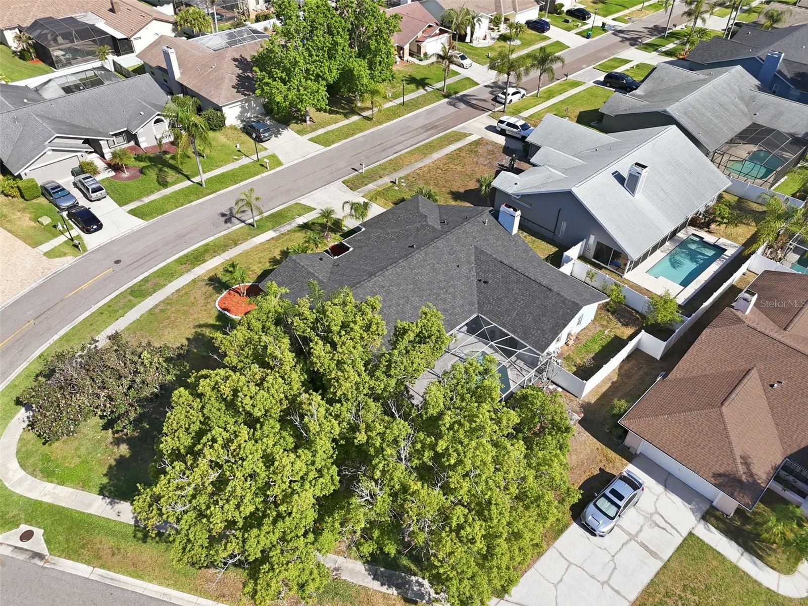 1775 STABLE TRL, PALM HARBOR, FL, 34685