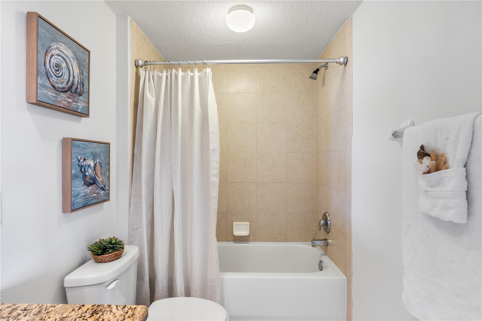 4516 SEAGULL DR #302, NEW PORT RICHEY, FL, 34652