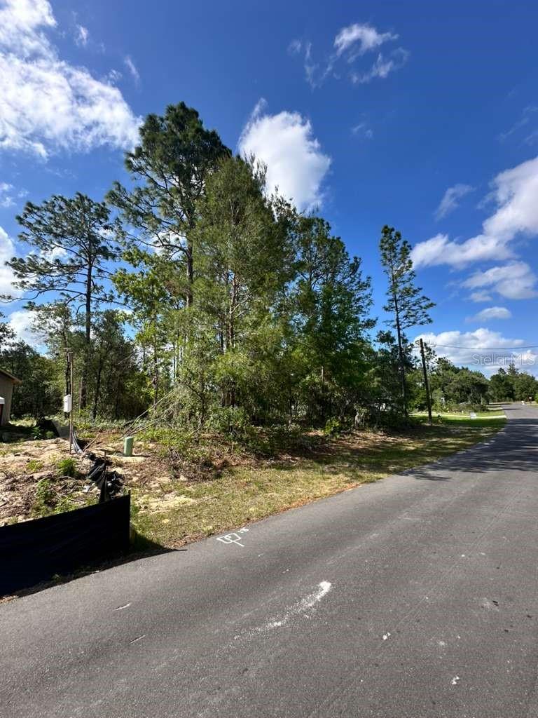 3125 W FAIRBANK DR, CITRUS SPRINGS, FL, 34433