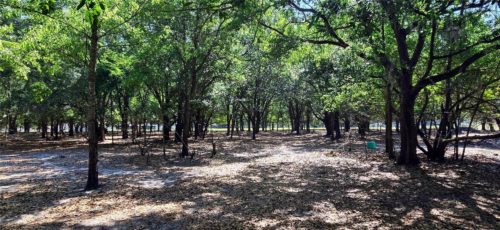 0 CONNELL RD, PLANT CITY, FL, 33567