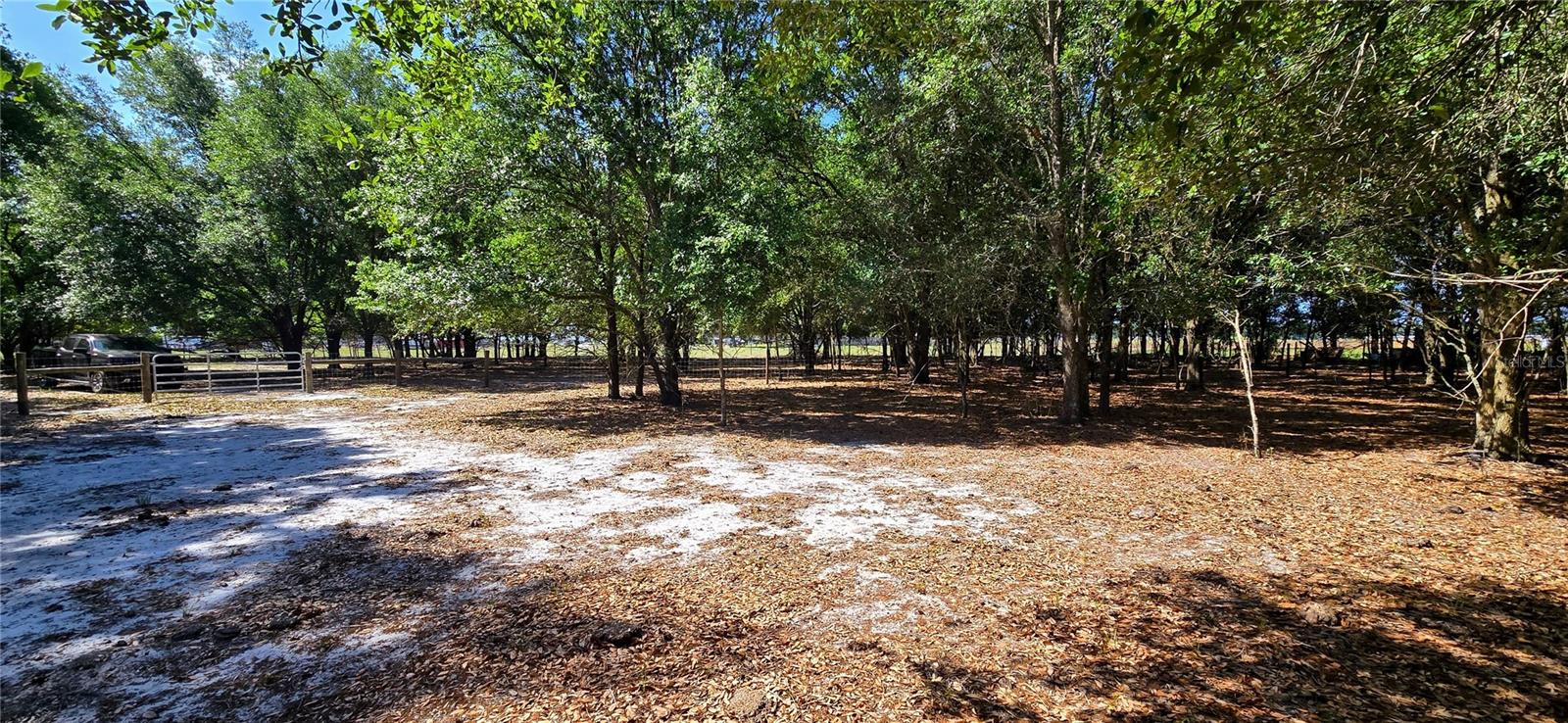 0 CONNELL RD, PLANT CITY, FL, 33567