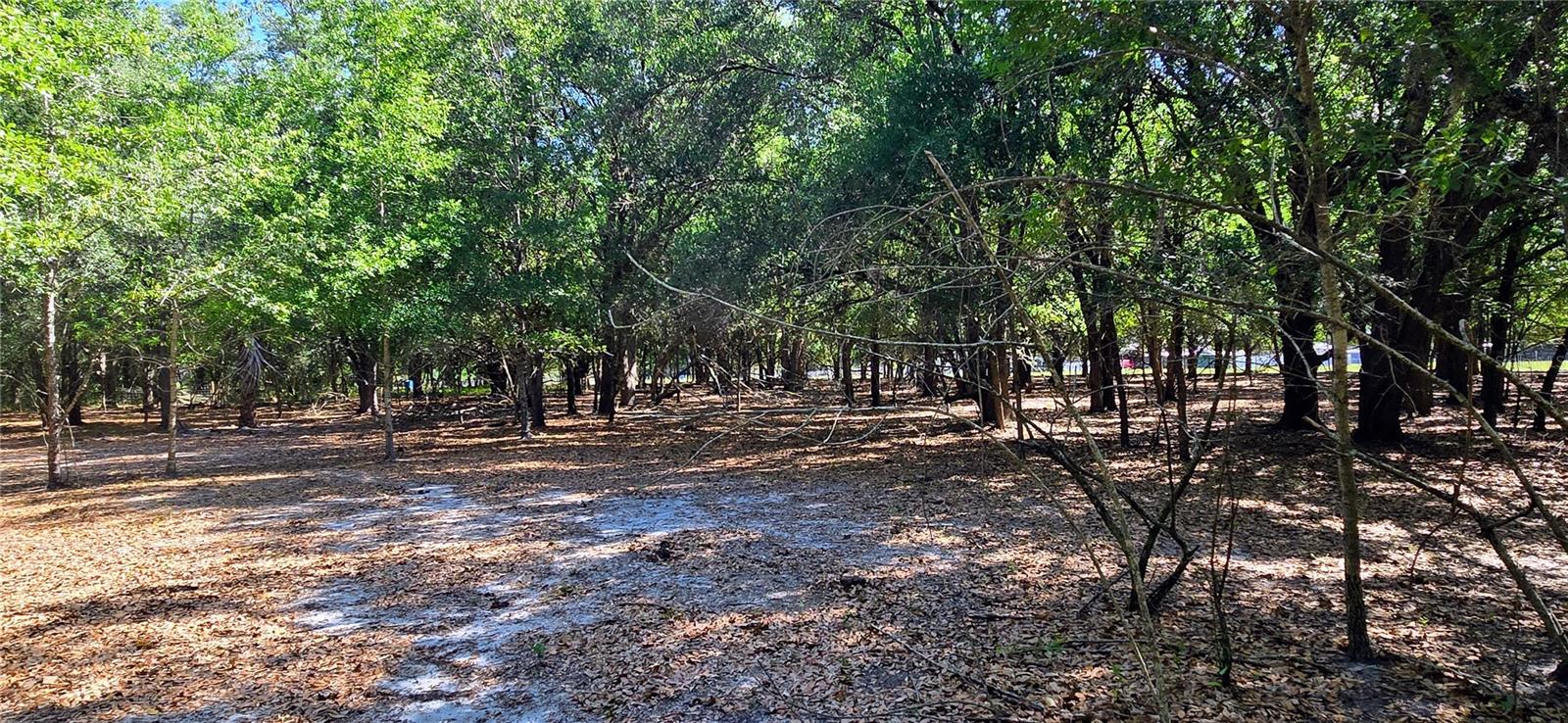 0 CONNELL RD, PLANT CITY, FL, 33567