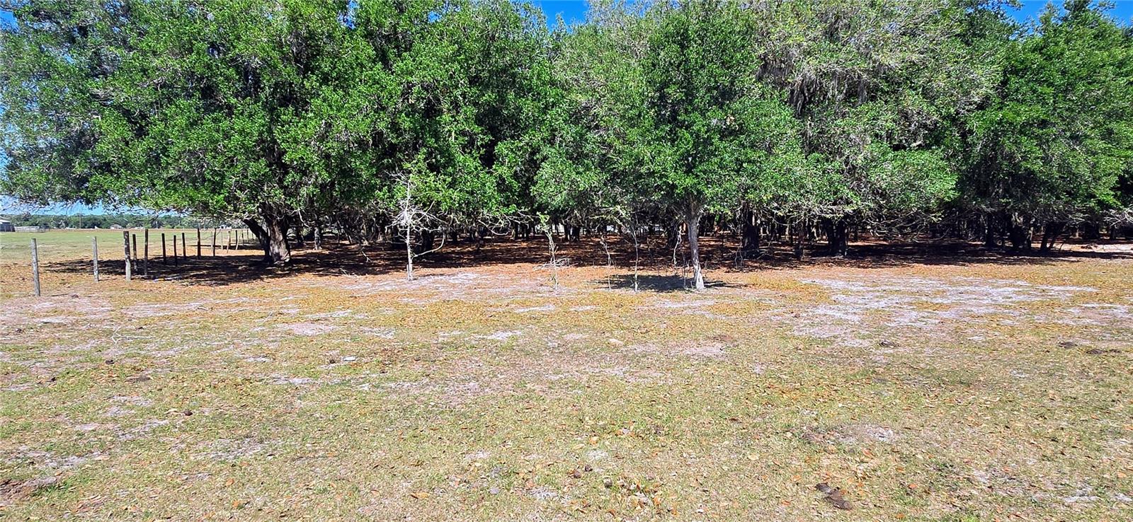 0 CONNELL RD, PLANT CITY, FL, 33567