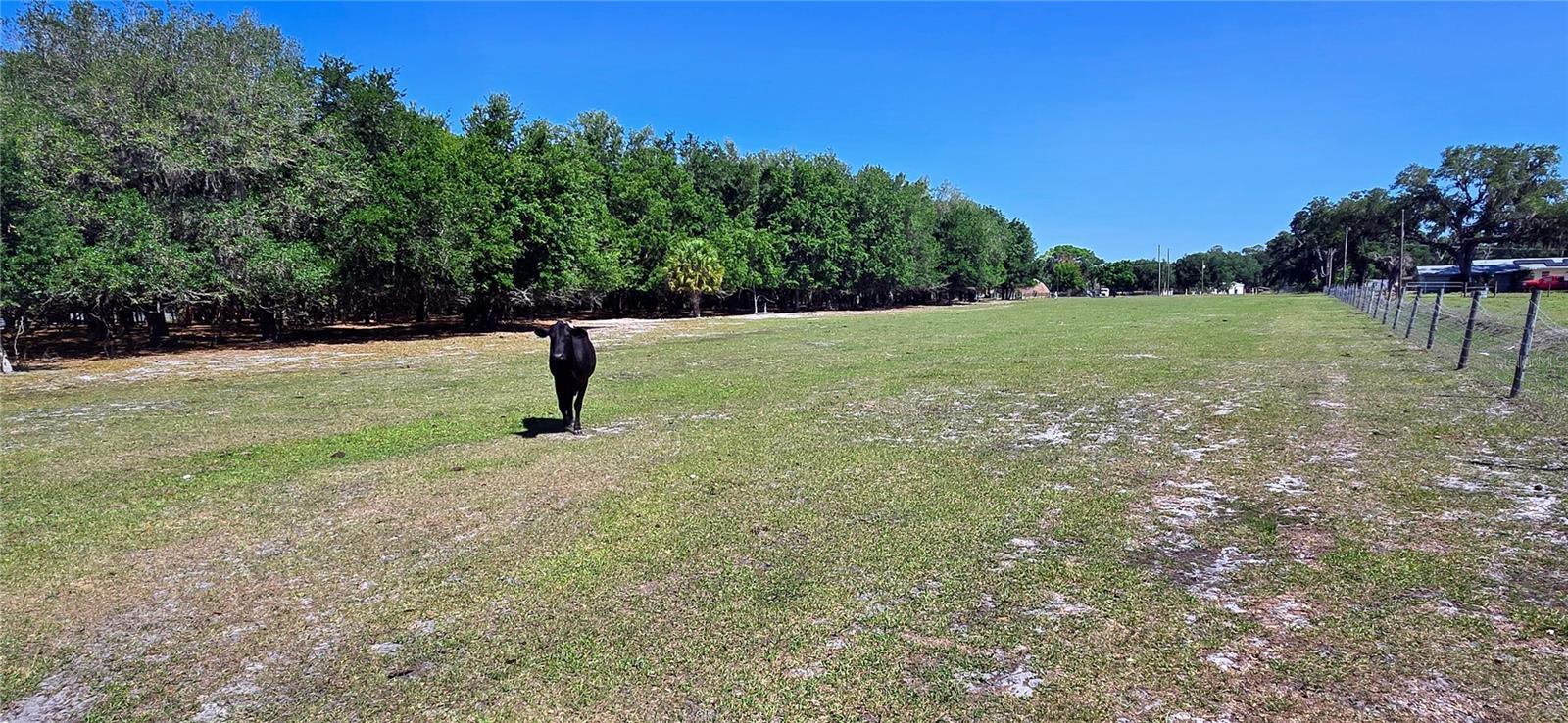 0 CONNELL RD, PLANT CITY, FL, 33567