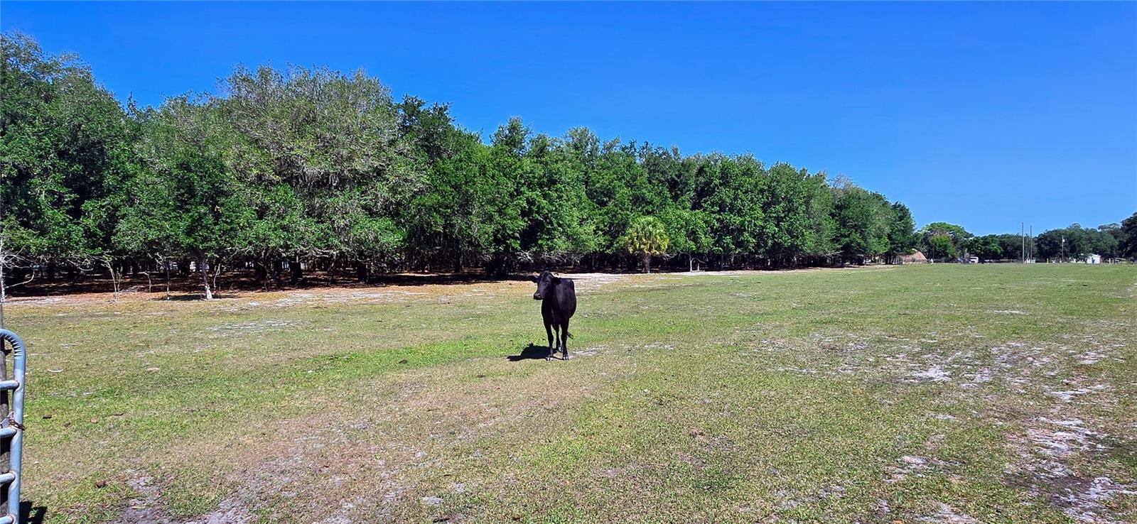 0 CONNELL RD, PLANT CITY, FL, 33567