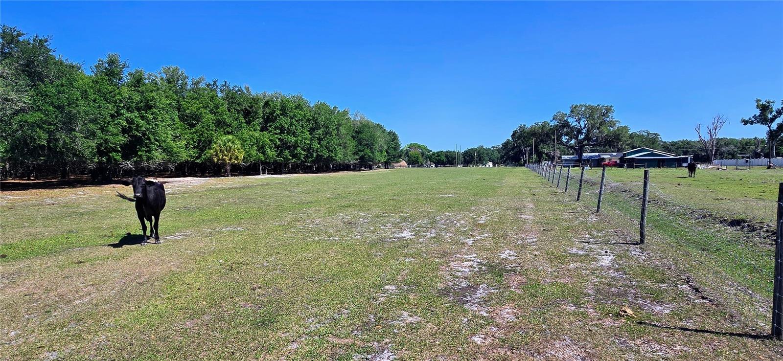 0 CONNELL RD, PLANT CITY, FL, 33567