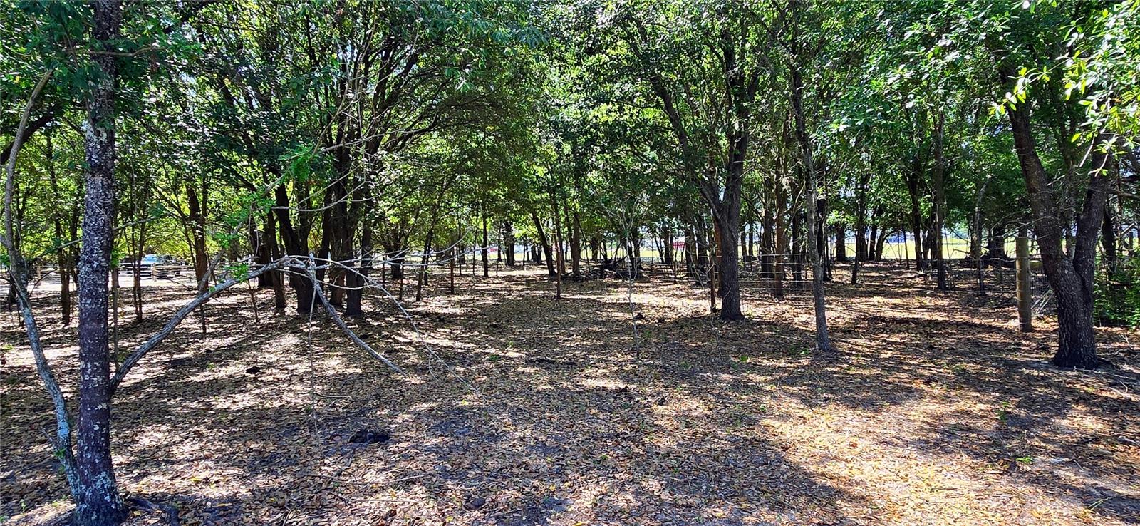 0 CONNELL RD, PLANT CITY, FL, 33567