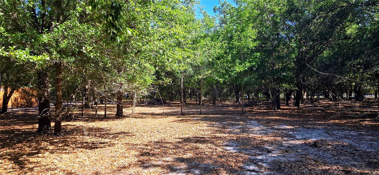 0 CONNELL RD, PLANT CITY, FL, 33567