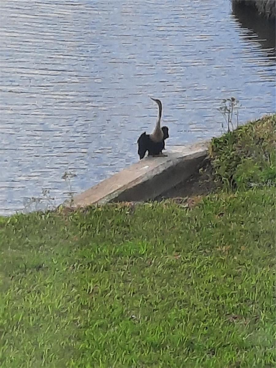 5709 AVISTA DR #4108, SARASOTA, FL, 34243