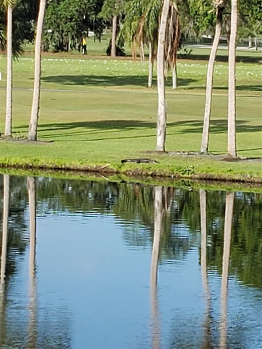 5709 AVISTA DR #4108, SARASOTA, FL, 34243