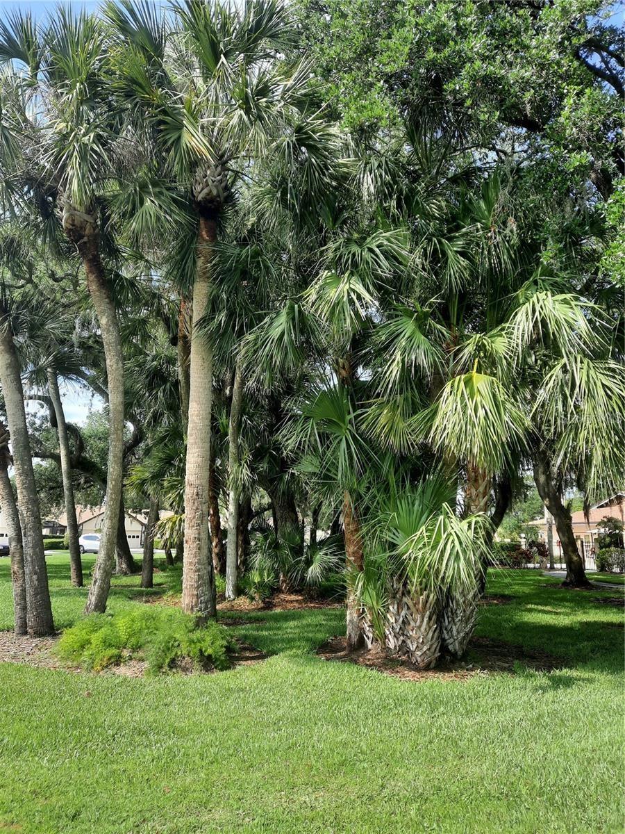 5709 AVISTA DR #4108, SARASOTA, FL, 34243