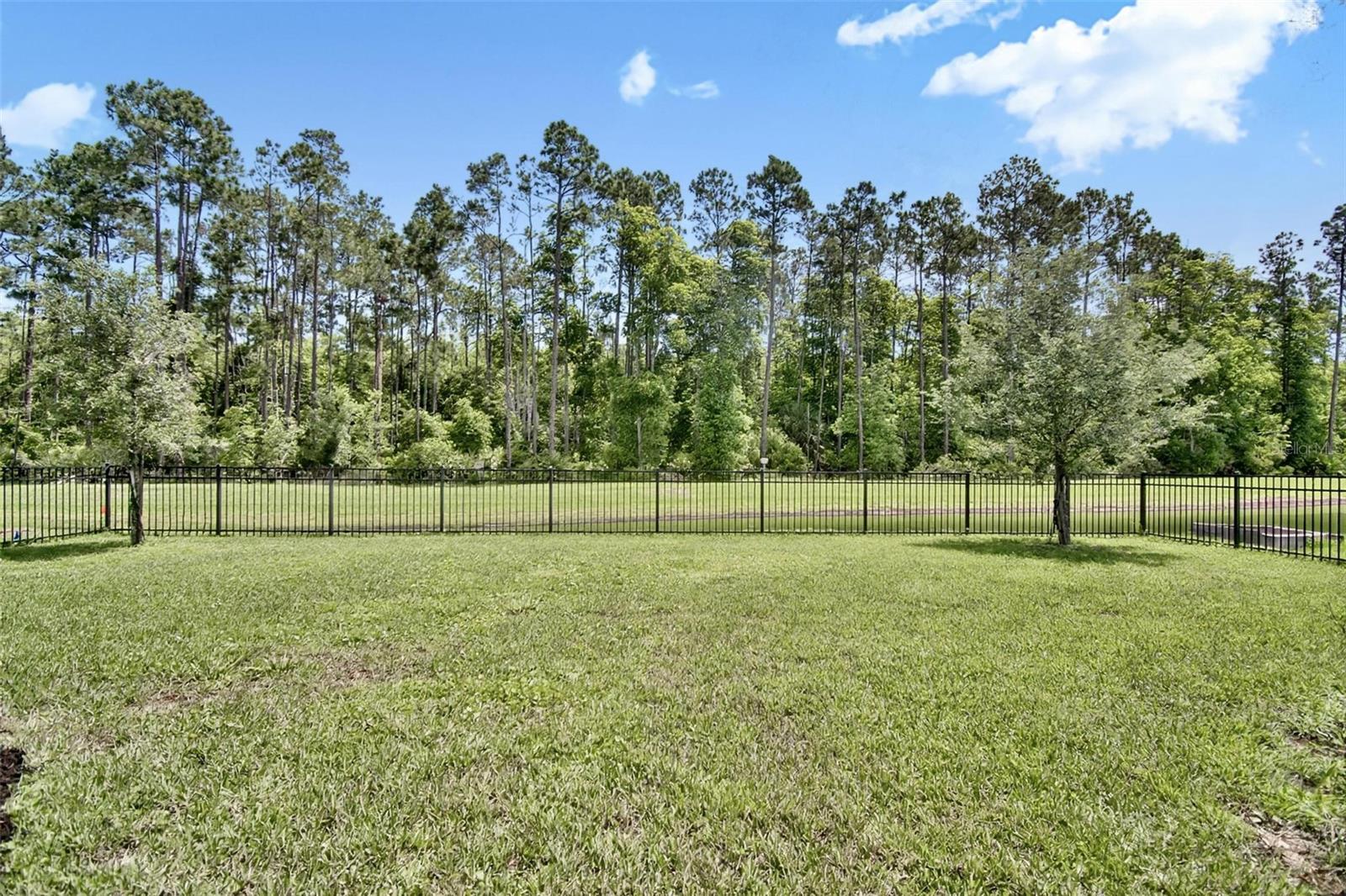124 WOOD STORK LN, PALM COAST, FL, 32164