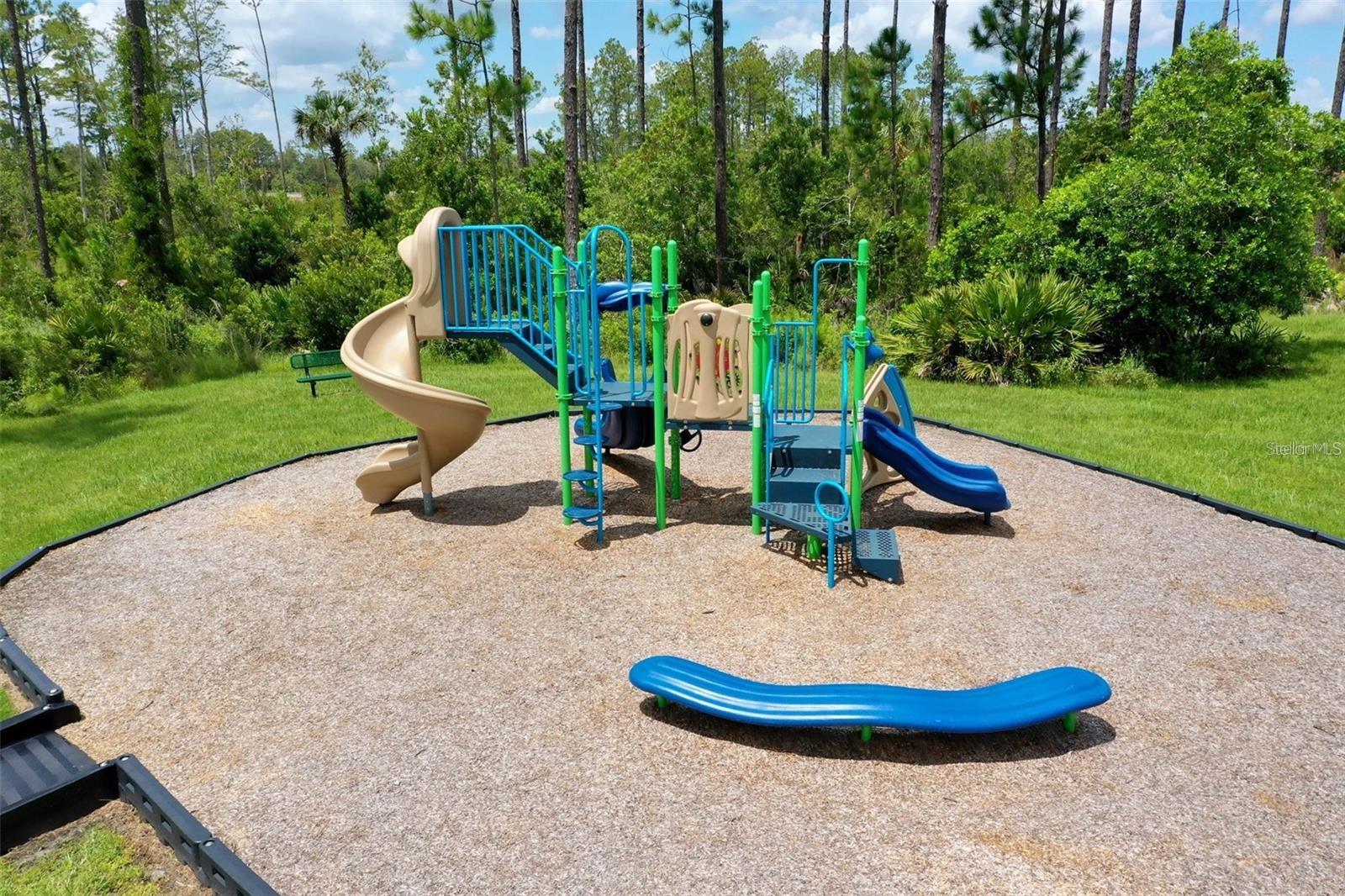 124 WOOD STORK LN, PALM COAST, FL, 32164