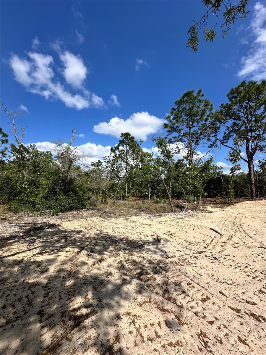 3239 W KIRKWOOD PL, DUNNELLON, FL, 34433