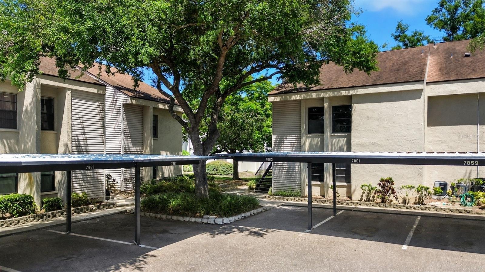 7863 NIAGARA AVE #1921, TAMPA, FL, 33617
