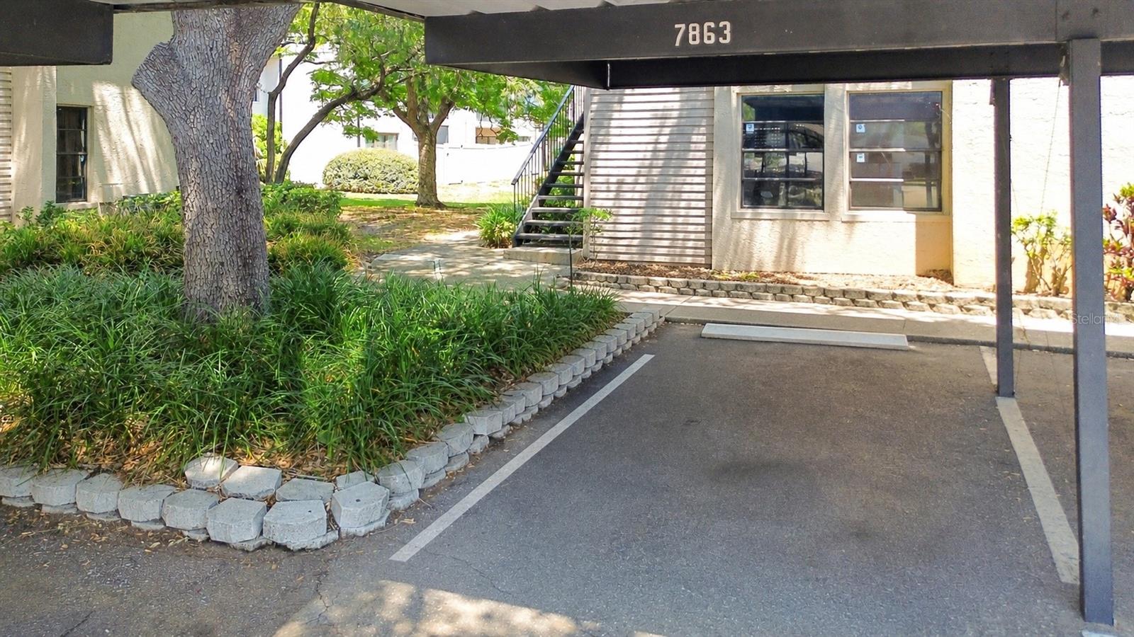 7863 NIAGARA AVE #1921, TAMPA, FL, 33617