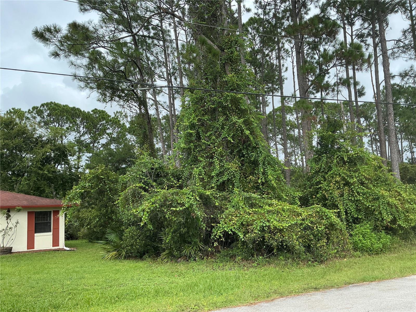 191 BOULDER ROCK DR, PALM COAST, FL, 32137