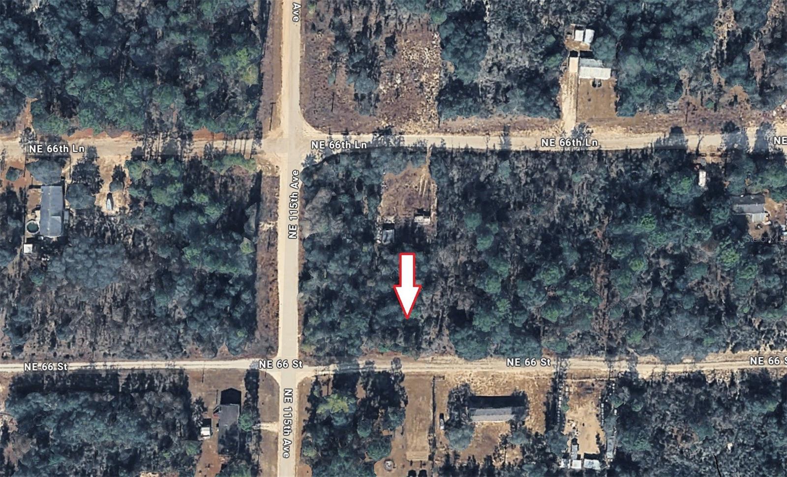 NE 66TH, WILLISTON, FL, 32696