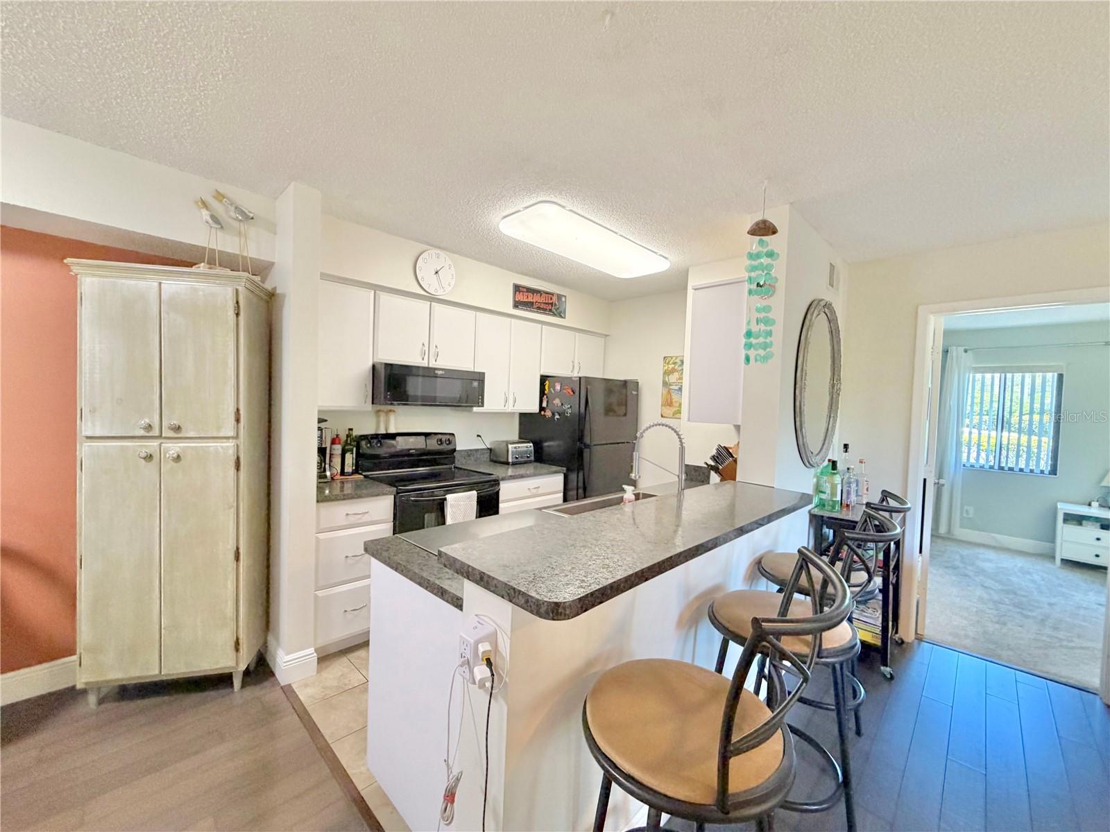 2087 HUNTERS GLEN DR #112, DUNEDIN, FL, 34698