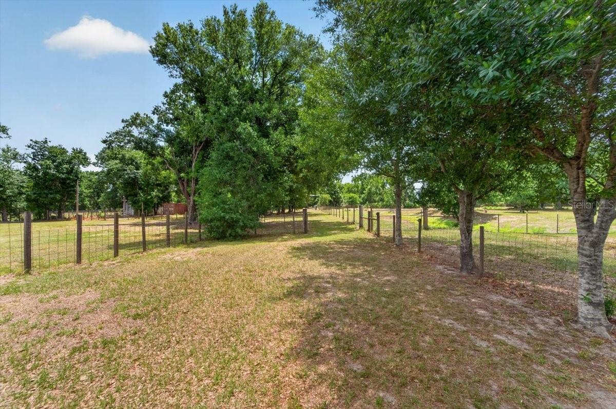15623 ALDERMAN TURNER RD, WIMAUMA, FL, 33598