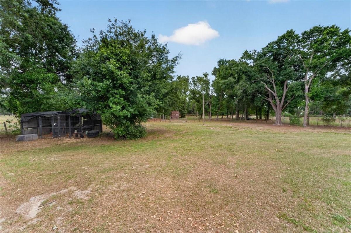 15623 ALDERMAN TURNER RD, WIMAUMA, FL, 33598