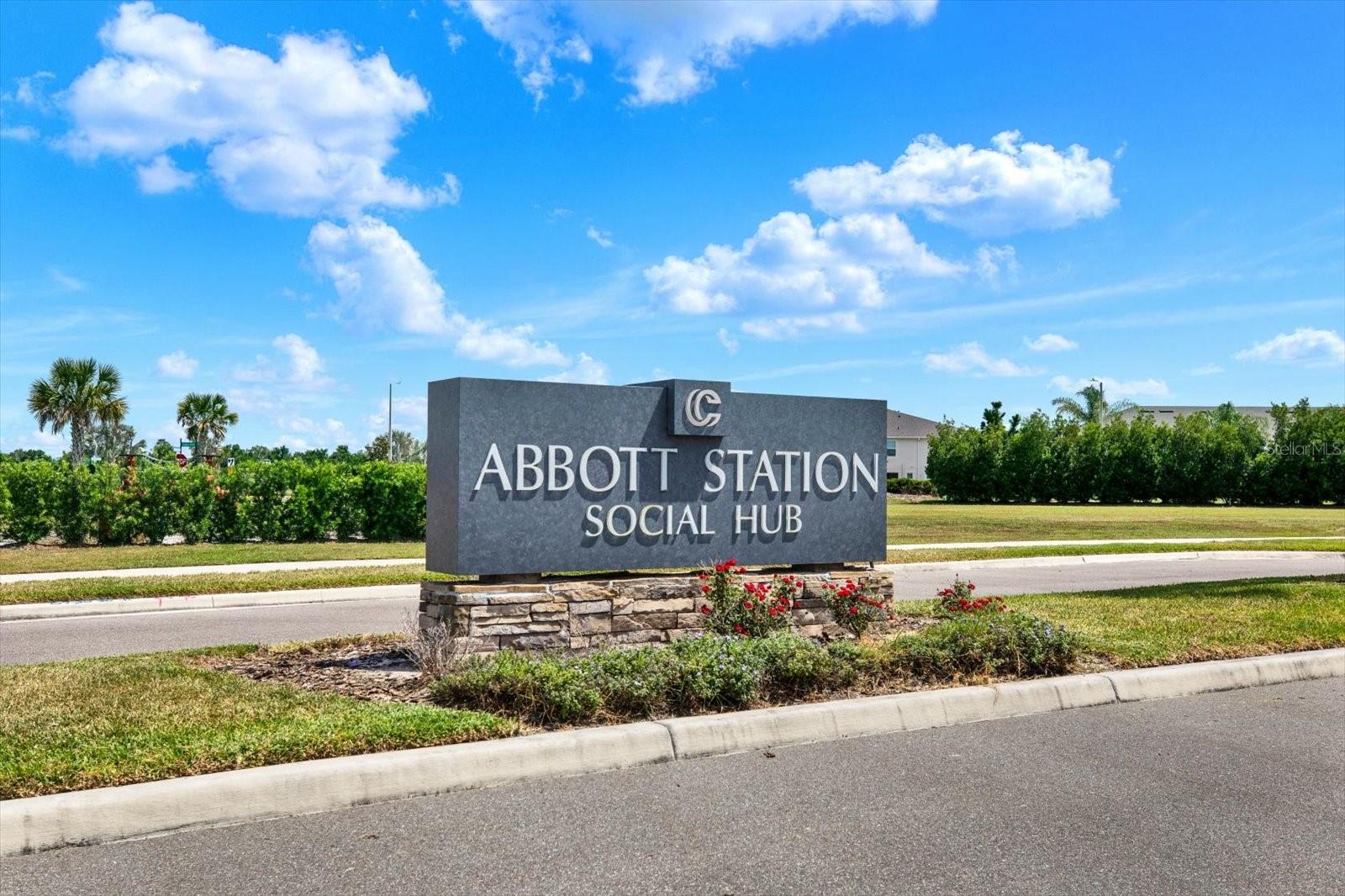 31601 HOLTON CT, WESLEY CHAPEL, FL, 33545