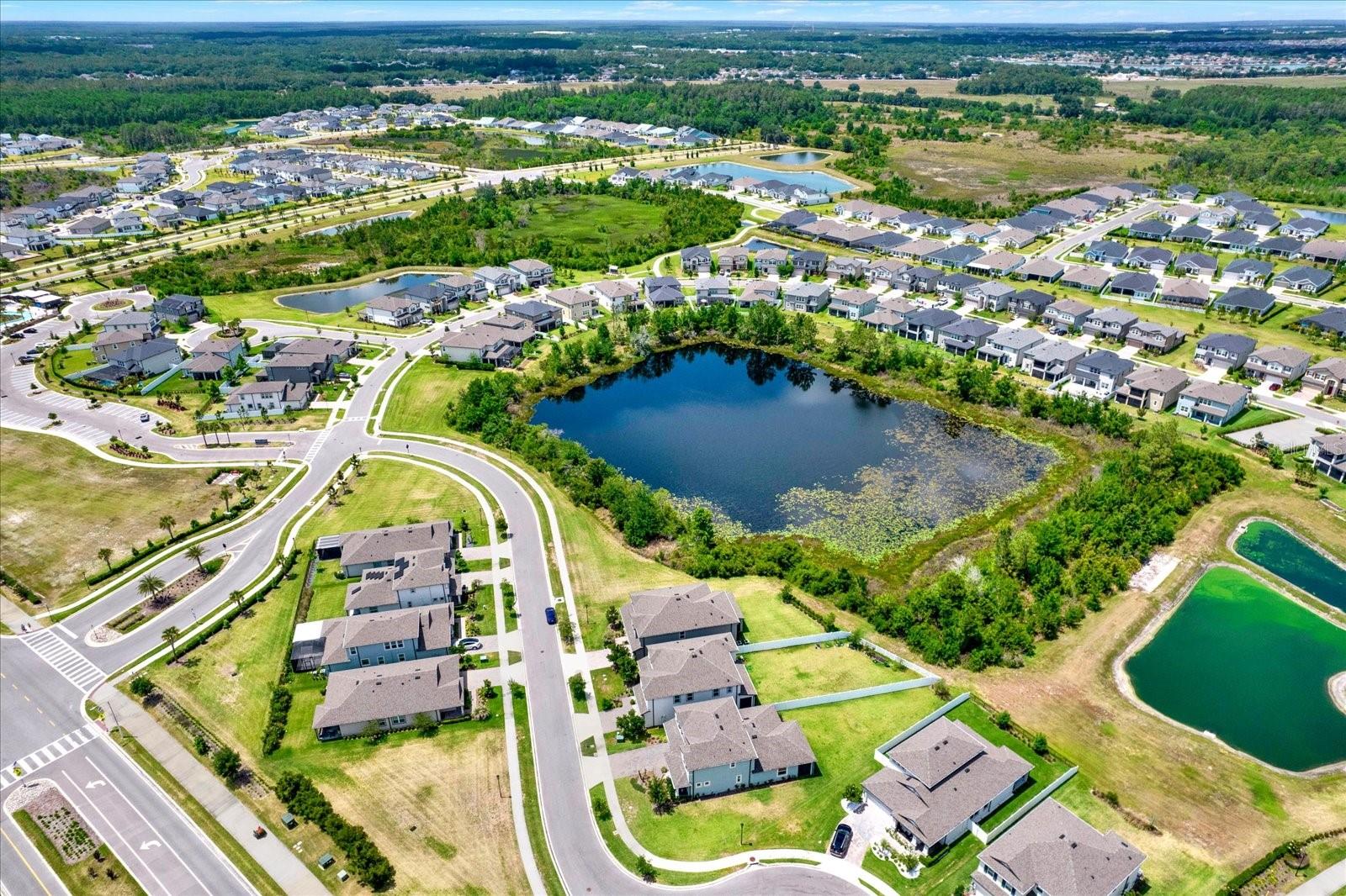 31601 HOLTON CT, WESLEY CHAPEL, FL, 33545