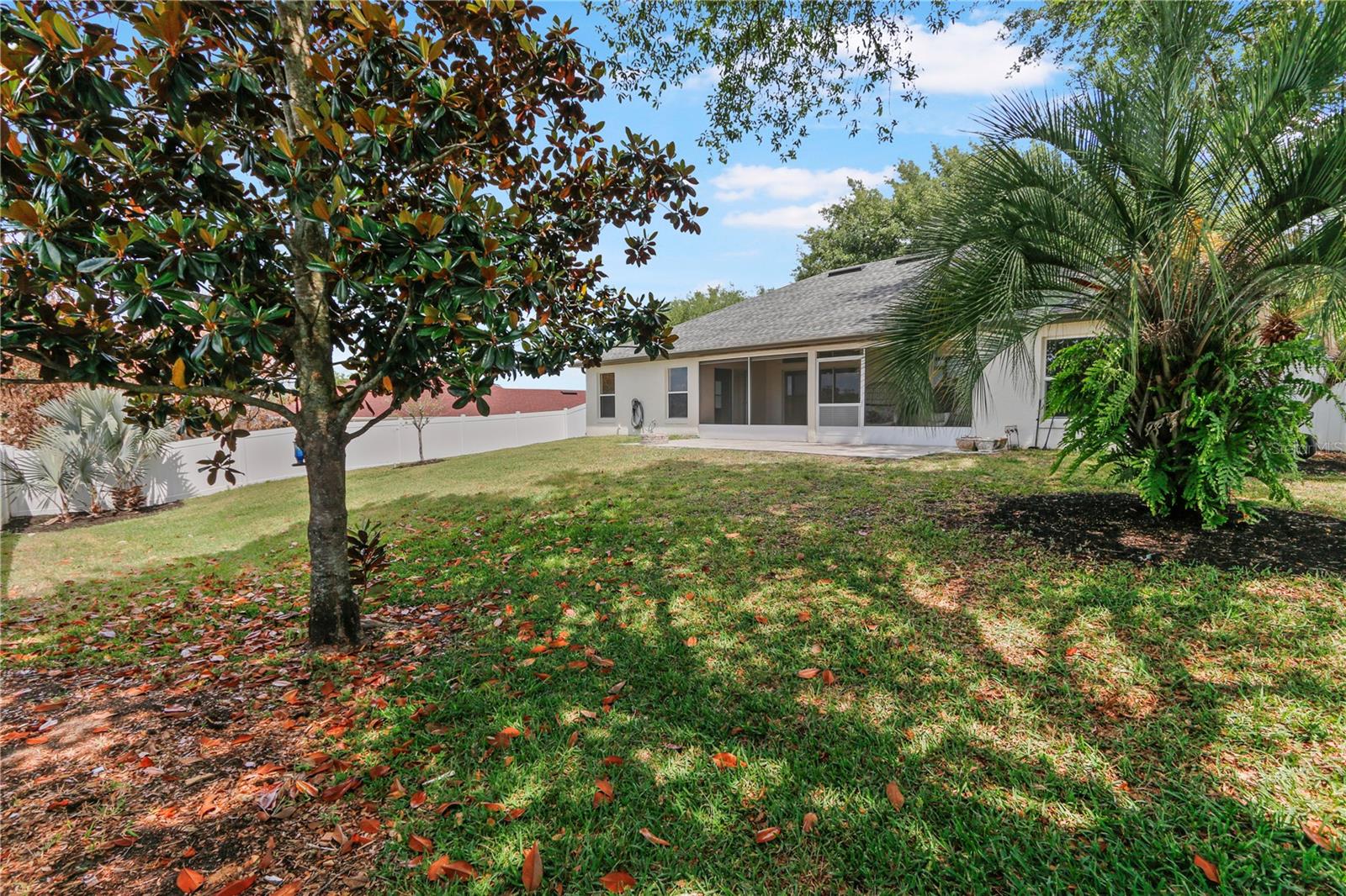 10814 VINEYARD CT, CLERMONT, FL, 34711
