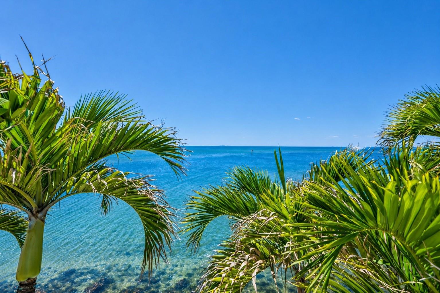 1021 SYMPHONY ISLES BLVD, APOLLO BEACH, FL, 33572