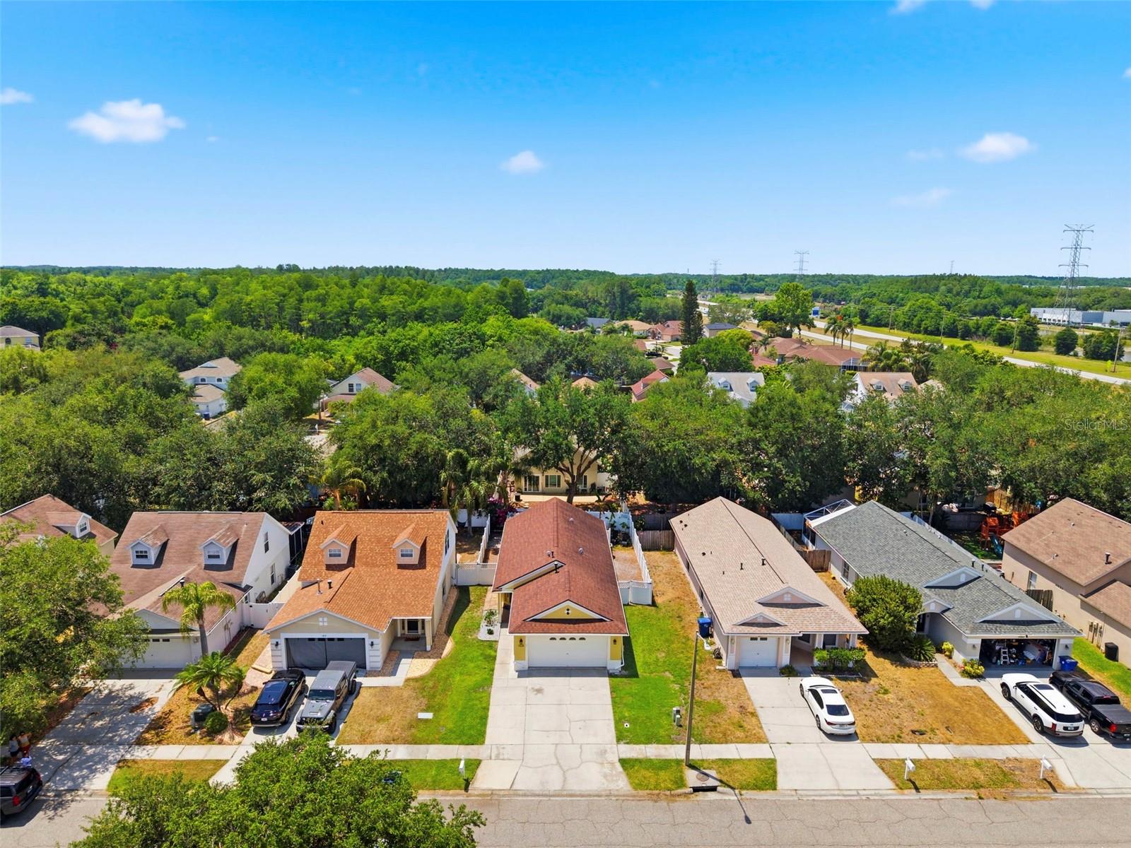 1825 HORSECHESTNUT, TRINITY, FL, 34655