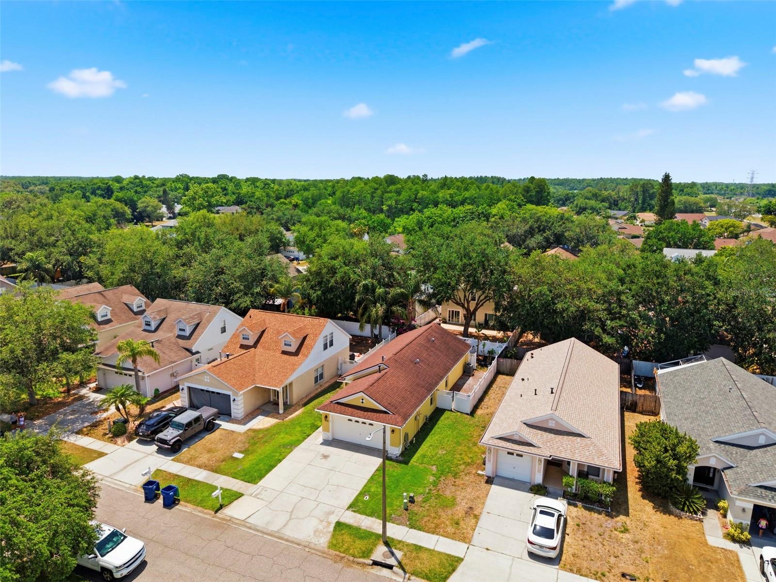 1825 HORSECHESTNUT, TRINITY, FL, 34655